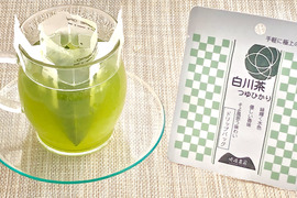 コーヒーのようにドリップを楽しむ白川茶　品種茶で　飲み比べ　二種類