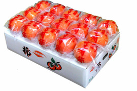 富有柿 　わけあり・家庭用　約5kg(18～28個）個包装