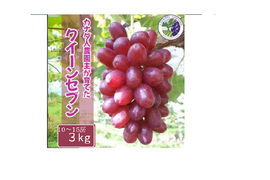 【カナダ人農園主の真心を込めた】クイーンセブン約３ｋｇ