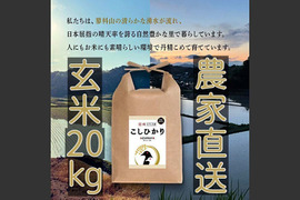 【令和4年度産】玄米20kg　信州たてしな産　コシヒカリ
