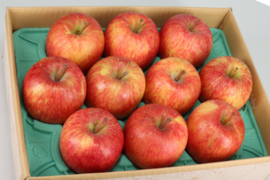 【11月下旬発送】栄養たっぷり！葉取らずサンふじ（ギフト用3kg・7~12玉）【冬ギフト】