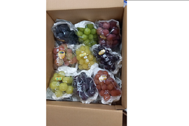 【カナダ人農園主の真心を込めた】食べ比べセット約4ｋｇ