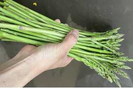 アスパラ1キロ　極細〜S　さぬきのめざめ