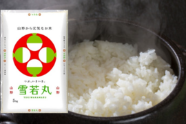 【新米】令和５年産・特別栽培米【雪若丸】(20kg)