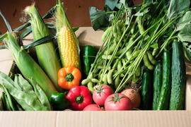 寒暖差が美味しさの秘訣！高原野菜セットＳ（８~９品目）
