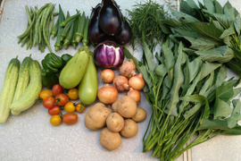 ギュッとお得用セット Sサイズ(約7品)