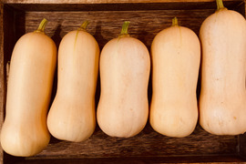富山県産 ミニ バターナッツかぼちゃ 約1.8kg