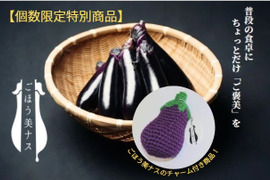 【ゲン担ぎ福袋】”一富士二鷹三なすび” ノベルティグッズ付き「ごほう美ナス」（約1kg）