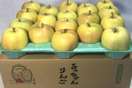 「甘ぁ～い💛」トキ🍏【すぐ出荷!!】家庭用約4.5Kg🍏青森県産　数量限定