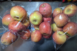 ふじリンゴ24玉