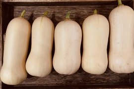 ミニ バターナッツ かぼちゃ 約4kg