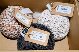 北海道十勝産【栗豆・虎豆・大福豆】よりどり合計3kgセット＊組み合わせ自由＊令和7年度産