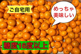 【ご自宅用】樹上完熟　濃厚　絶品　糖度16度以上　『完熟小玉みかん』　３kg