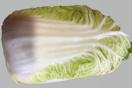 有機肥料で納豆菌栽培　ミニ白菜4～5個入り（沖縄・北海道・離島地区以外）