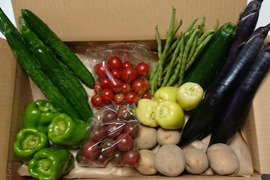 希少な「自然栽培」の野菜ボックス【Ｌサイズ】
