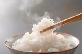 『令和7年度新米』　新潟県産コシヒカリ5kg