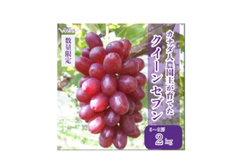【カナダ人農園主の真心を込めた】クイーンセブン約２ｋｇ