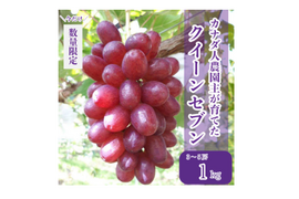 【カナダ人農園主の真心を込めた】クイーンセブン約１ｋｇ