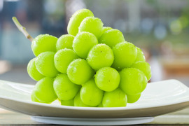 【蔵出し】大粒で樹上完熟！ 大房シャインマスカットを熊本・吉次園からお届け！【１房600ｇ】