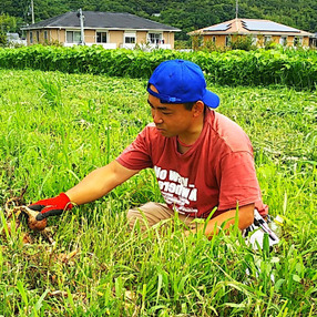 畑田農場