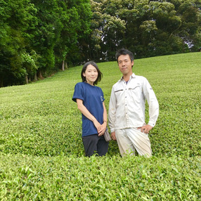 川根茶の清水園・萩下製茶