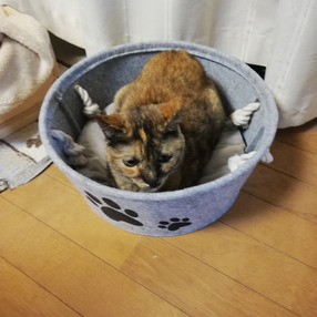 リューネファーム