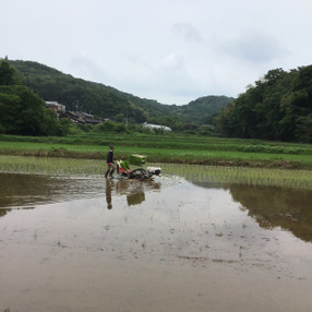 月日(つきひ)