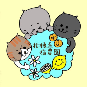 柑橘系猫農園