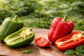 【ピーマンの概念を変える】青森 高糖度ピーマン『青森グリーンスイート』