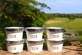 【超希少！】沖縄県やんばる産グラスフェッドジャージー牛乳の無添加カップアイス（6個入）