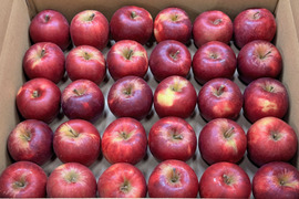 【加工用バラ詰め】小玉の紅玉!! スイーツ、お菓子、加工用・業務用🍎約4.5Kg青森県産