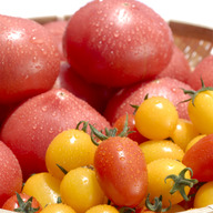 デリシャスファーム