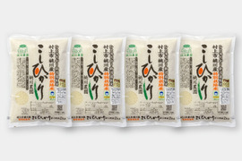 新米　令和5年産【岩船米 桃川産コシヒカリ】特別栽培米8kg（２kg×４）