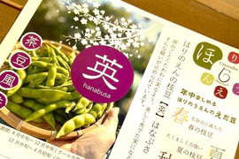 6/20～出荷開始！ビールを飲みたい夜に！茶豆風味【英】~はなぶさ~12袋入り