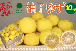 【数量限定】これからの季節の風味には柚子・ユズ（約10kg 50～70個）