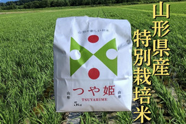 特別栽培米つや姫5kg