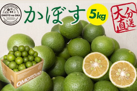 【期間限定】生でギュッと!猛暑には、すっきりカボス(5kg)