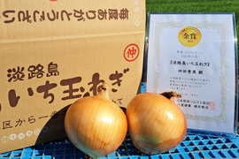 【野菜ソムリエサミット金賞記念】淡路島玉ねぎ5kg