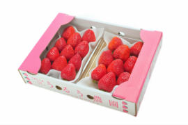 いちごの王様！あまおう苺 人気サイズ 270g×2パック