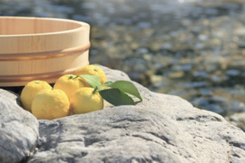 【期間限定 今だけセール中!!】農薬、化成肥料、除草剤等不使用の柚子 「柚子湯」用パッケージ