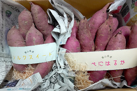 【ねっとり濃厚な甘さ＆しっとりなめらか】さつまいも詰め合わせセット3㎏