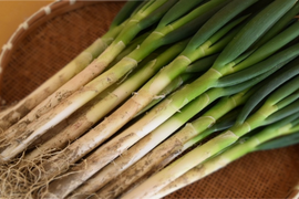 深谷蜜ねぎ（2.5kg）｜農家直送・新戒産深谷ねぎの甘みたっぷり