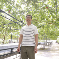 トマテ・コロラード