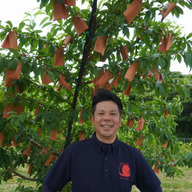 青い桃 12キロ e8733e39028d93863772c3a82b171c