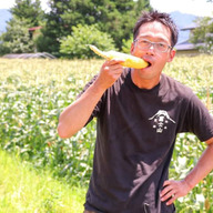 【富士信玄とうもろこし】大澤園