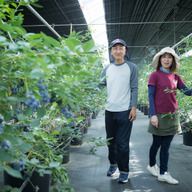 IRAGOブルーベリー