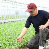 丹波リーフ株式会社