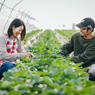 おひさまのいちご園