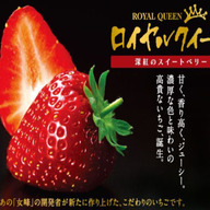 ストロベリーガーデンロイヤル