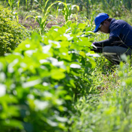 あなたの食の帰る場所361°